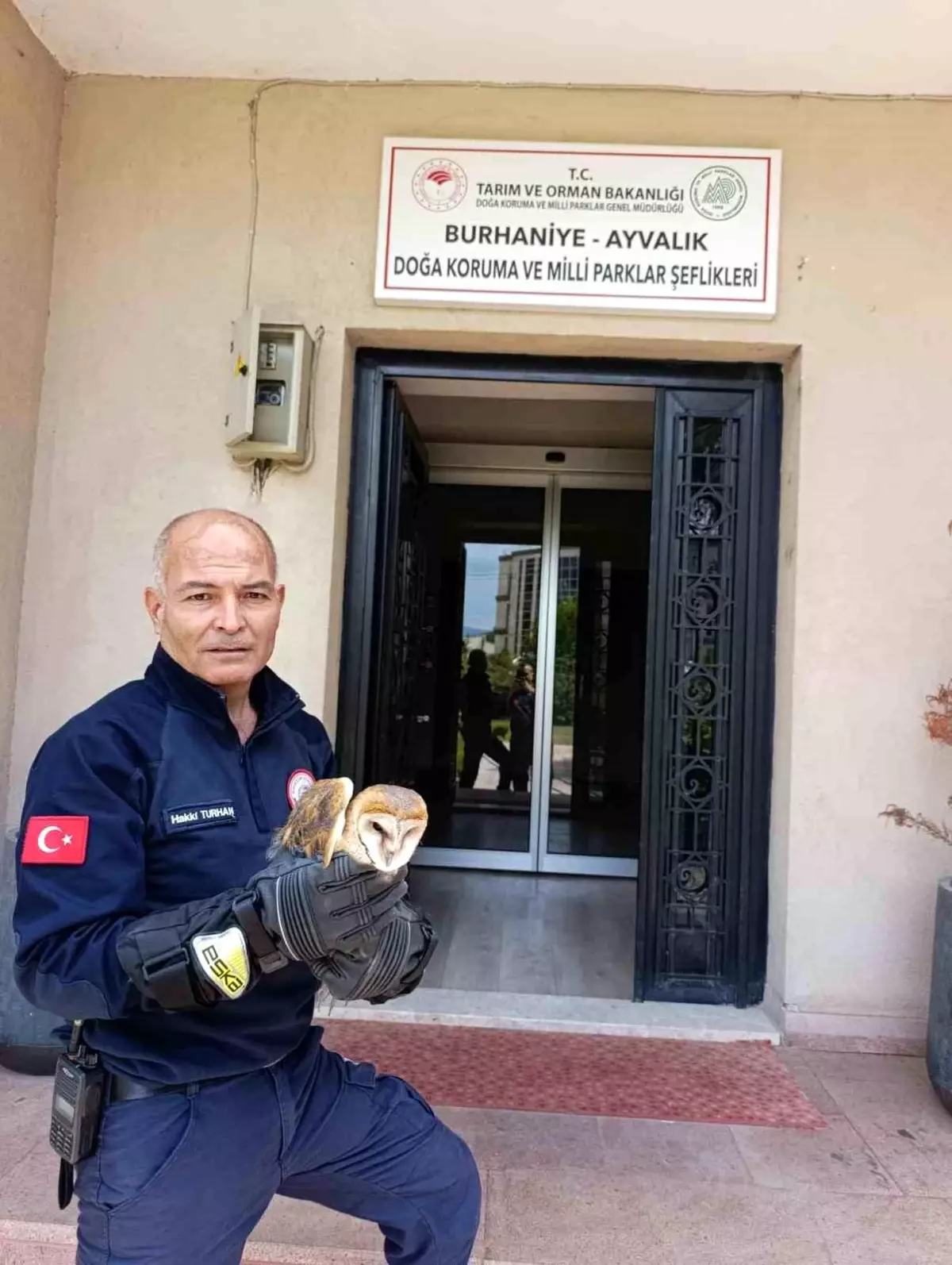 Balkon Pervazına Çarpan Baykuş Kurtarıldı