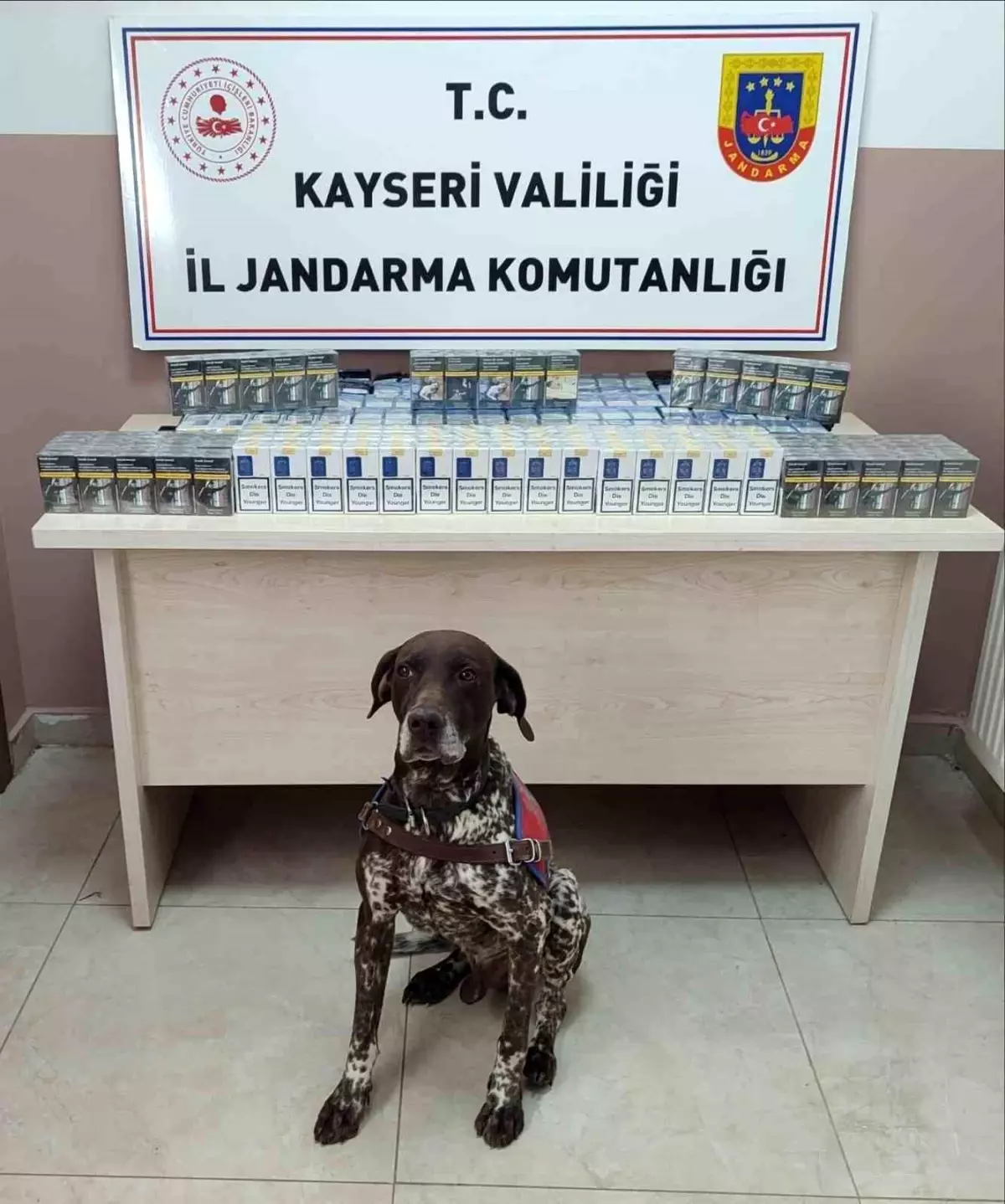 Kayseri